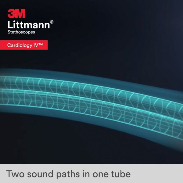 3M Littmann Cardiology IV Stethoscope, Champagne Chestpiece, Caribbean Blue Tube, 6190
